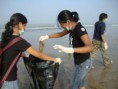 /album/beach-cleaning-drive/dsc04806-jpg/