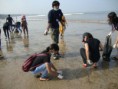 /album/beach-cleaning-drive/dsc04827-jpg/